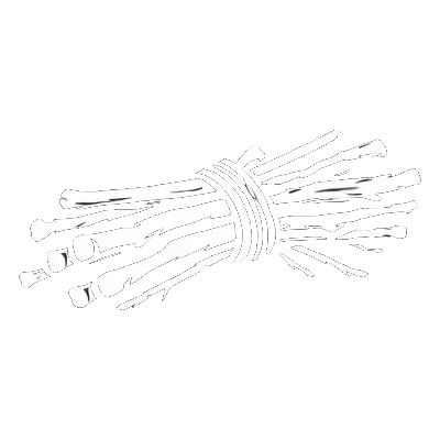 Stick and Branch Removal